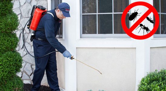 Bolu Dezenfeksiyon böcek ilaçlama ve haşere kontrolü — ilaclama-tr.com